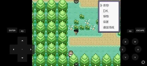 口袋妖怪剑盾金手指版2