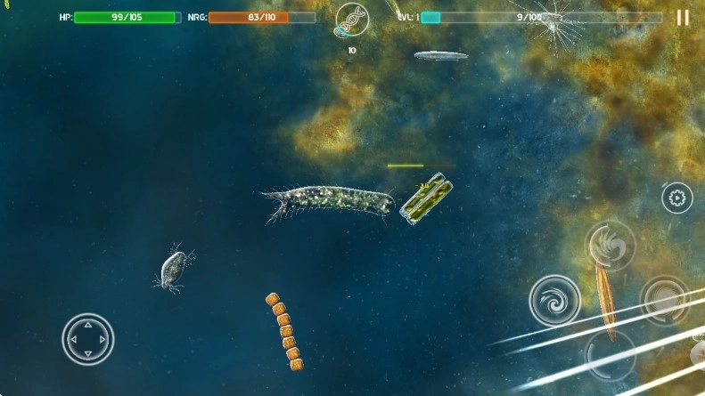 细胞起源最新版3