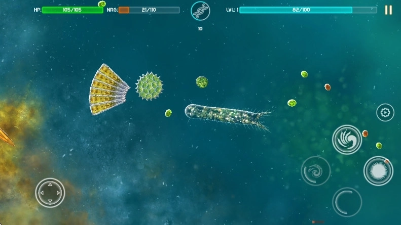 细胞起源最新版2