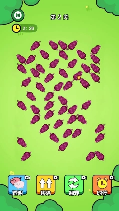 一飞冲天的猪仔2