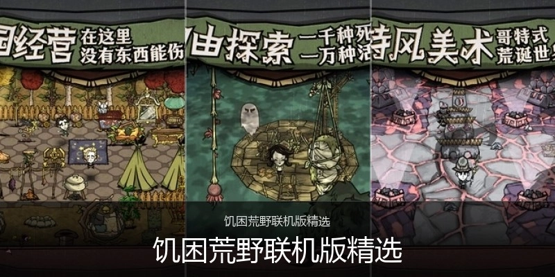 饥困荒野联机版精选