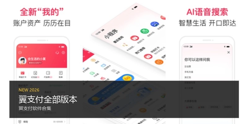 翼支付全部版本