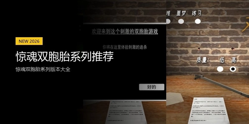 惊魂双胞胎系列推荐