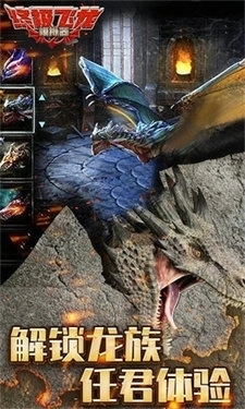 终极飞龙模拟器1