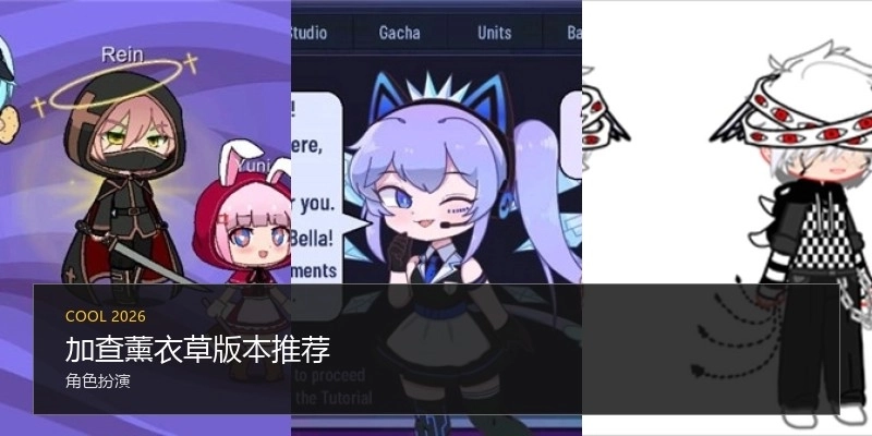 加查薰衣草版本推荐