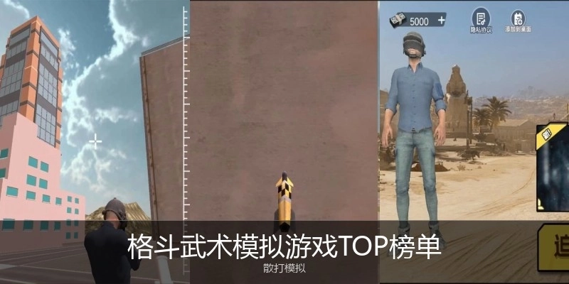 格斗武术模拟游戏TOP榜单