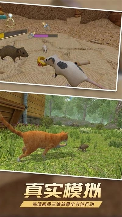 真实老鼠模拟3