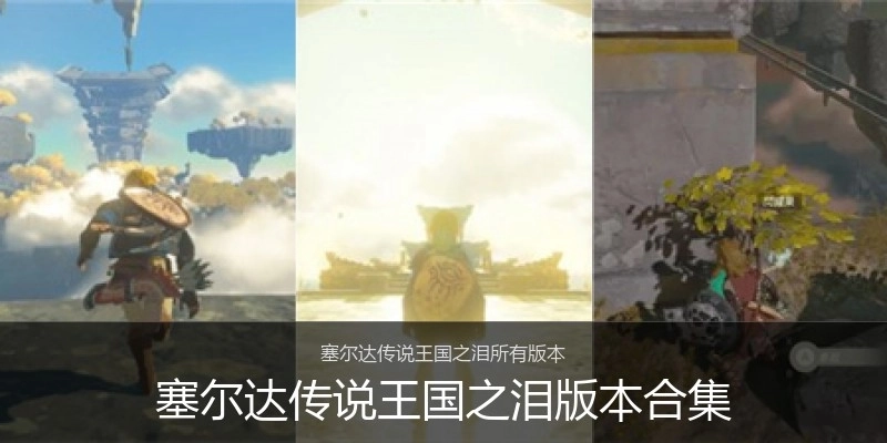 塞尔达传说王国之泪版本合集