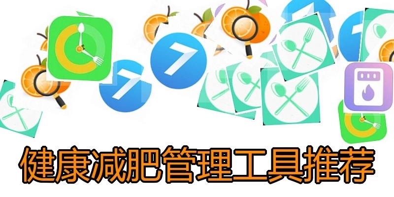 健康减肥管理工具推荐