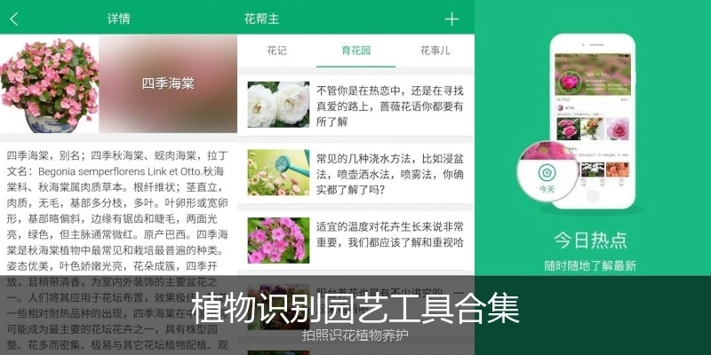 植物识别园艺工具合集