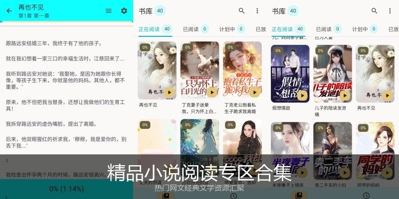 精品小说阅读专区合集