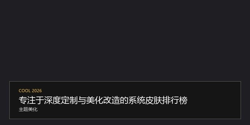 专注于深度定制与美化改造的系统皮肤排行榜