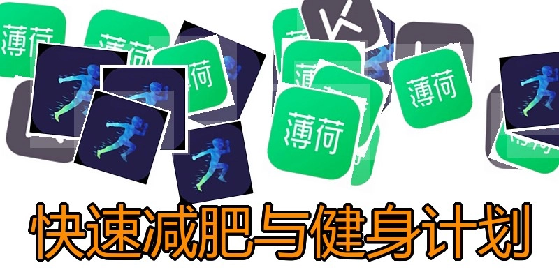 快速减肥与健身计划