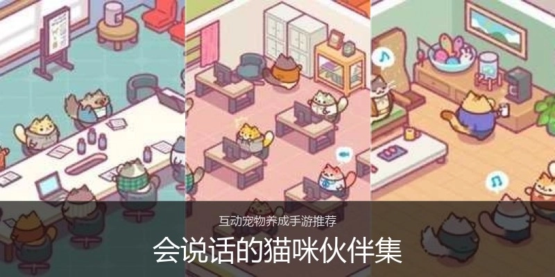 会说话的猫咪伙伴集