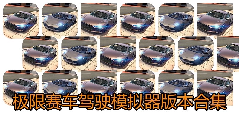 极限赛车驾驶模拟器版本合集