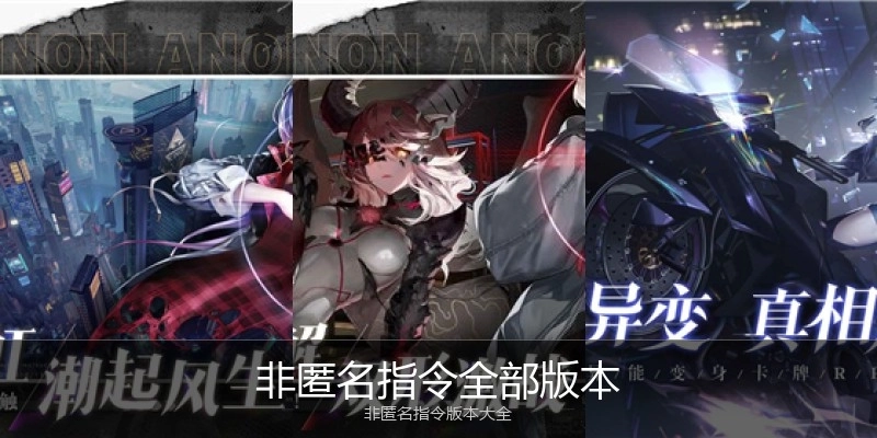 非匿名指令全部版本