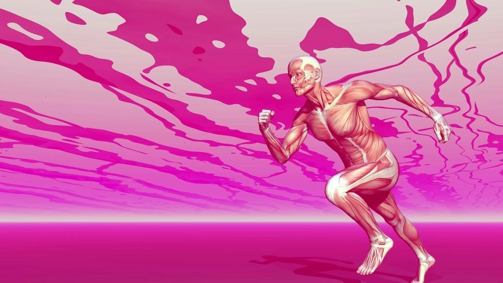 超级街头霸王2版本大全-超级街头霸王2金手指版/手机版/最新版下载