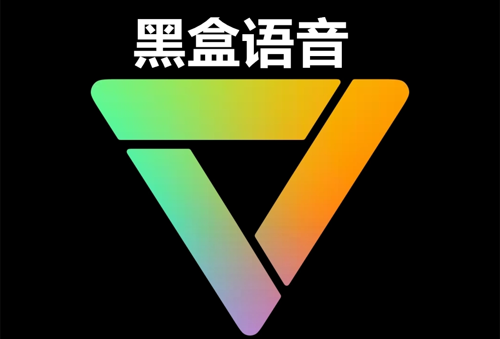 黑盒语音