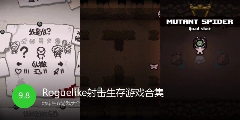 Roguelike射击生存游戏合集