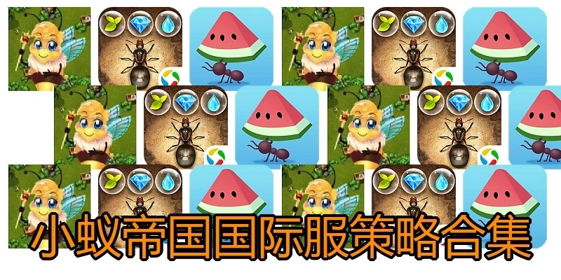 小蚁帝国国际服策略合集