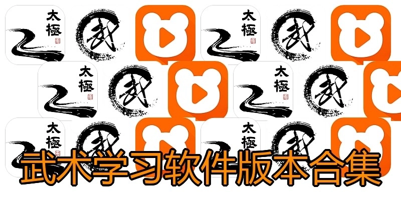 武术学习软件版本合集