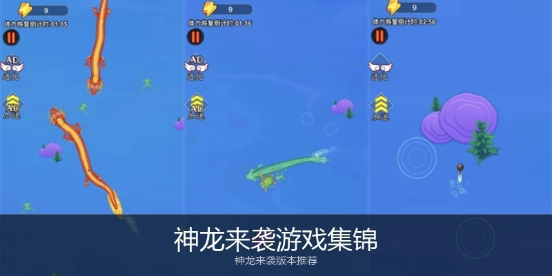 神龙来袭游戏集锦