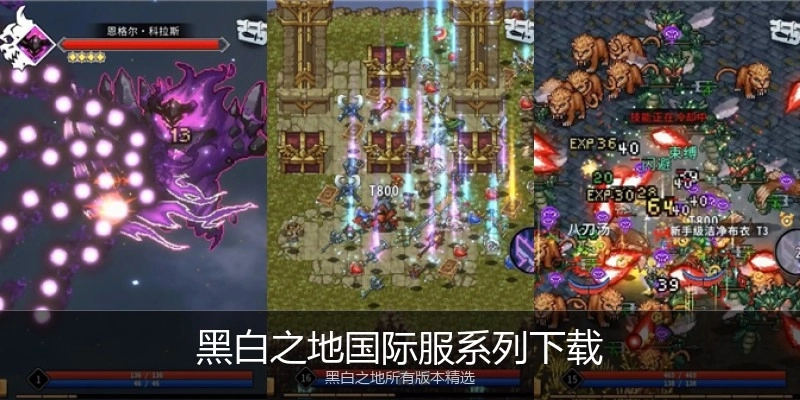 黑白之地国际服系列下载