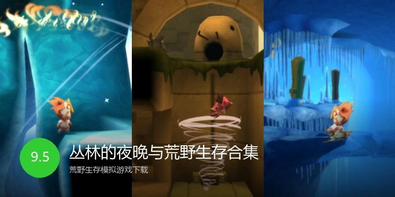 丛林的夜晚与荒野生存合集