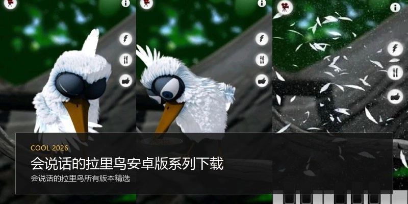 会说话的拉里鸟安卓版系列下载
