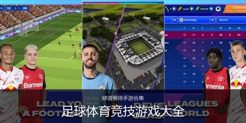 足球体育竞技游戏大全