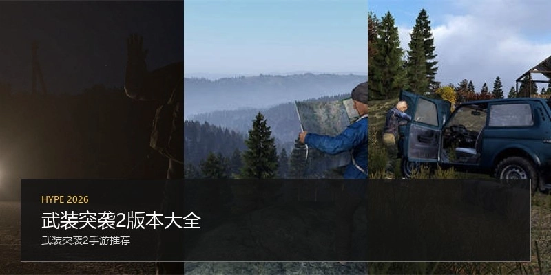 武装突袭2版本大全