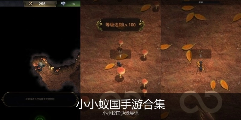 小小蚁国手游合集