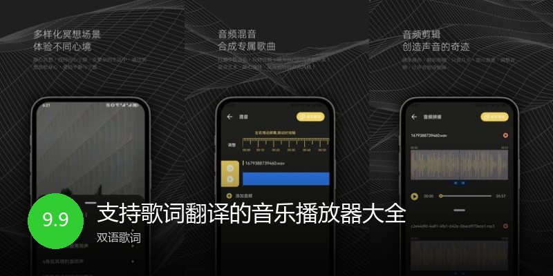 支持歌词翻译的音乐播放器大全