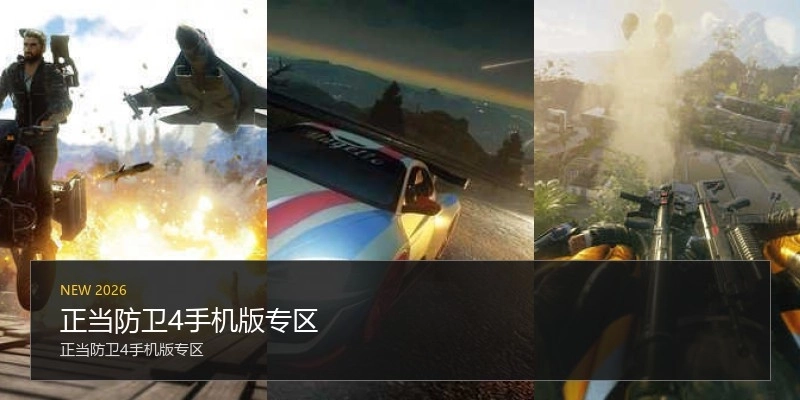 正当防卫4手机版专区