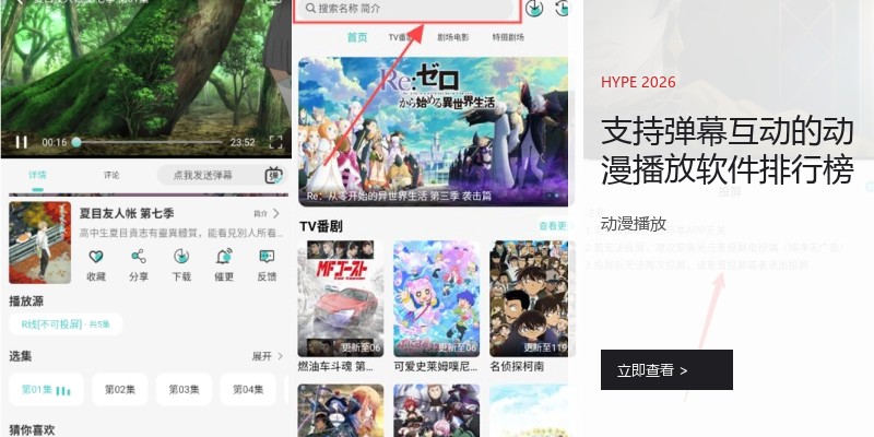 支持弹幕互动的动漫播放软件排行榜
