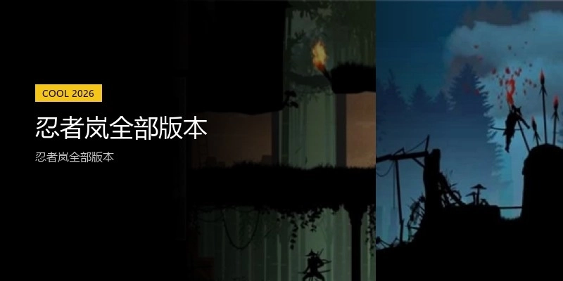 忍者岚全部版本