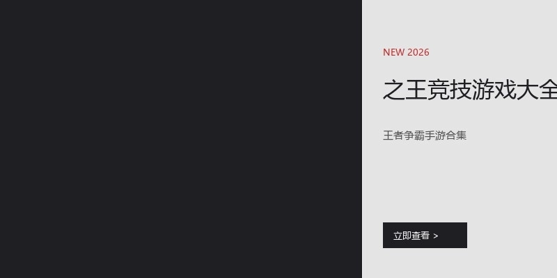 之王竞技游戏大全