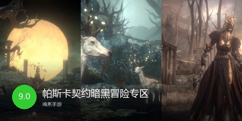 帕斯卡契约暗黑冒险专区