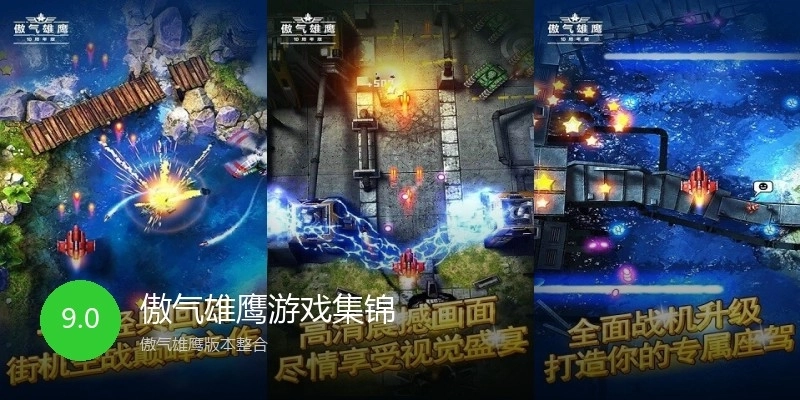 傲气雄鹰游戏集锦