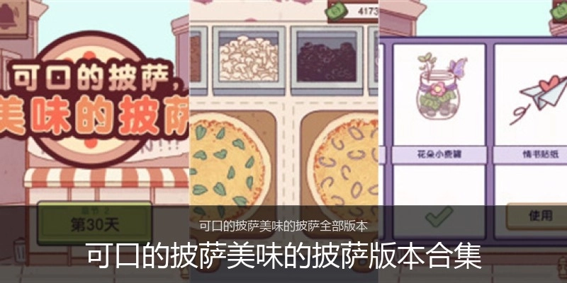 可口的披萨美味的披萨版本合集