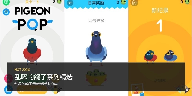 乱啄的鸽子系列精选