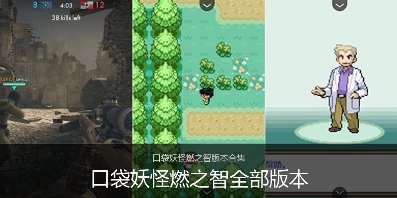 口袋妖怪燃之智全部版本