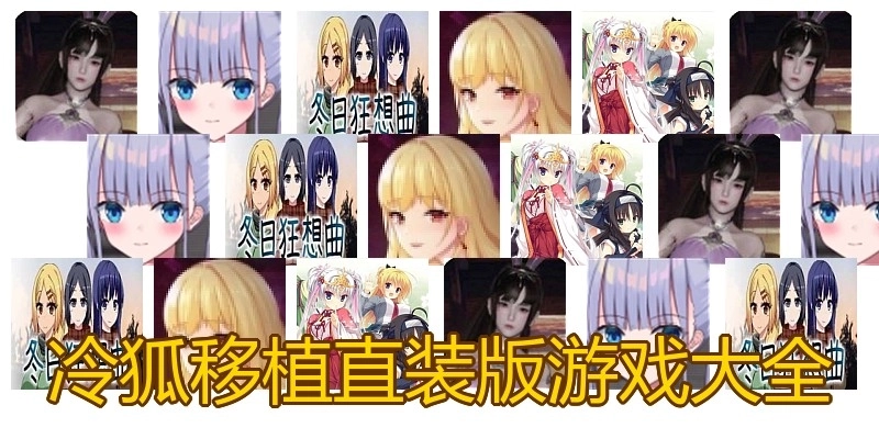 冷狐移植直装版游戏大全