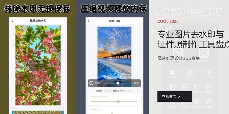 专业图片去水印与证件照制作工具盘点