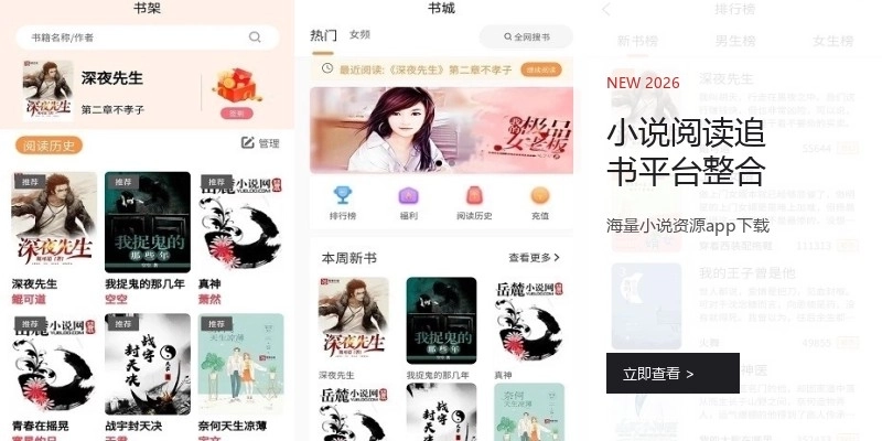 小说阅读追书平台整合