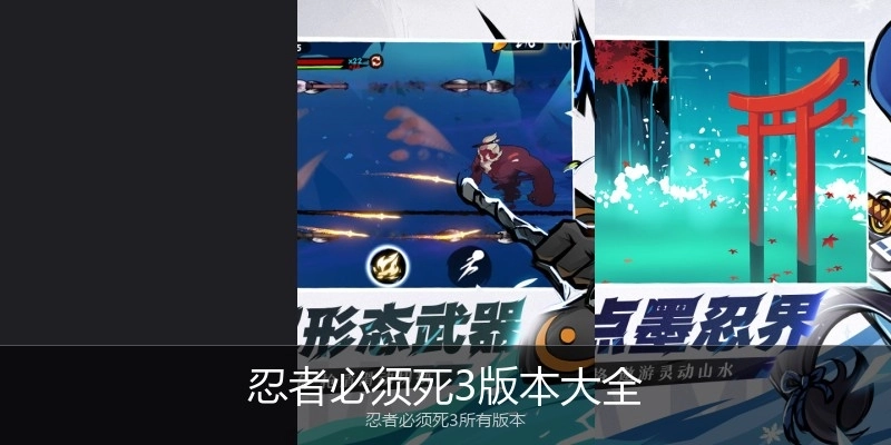 忍者必须死3版本大全
