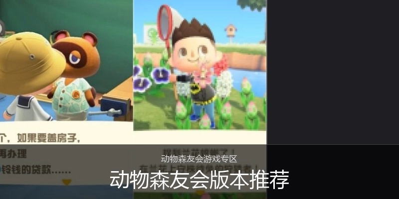 动物森友会版本推荐