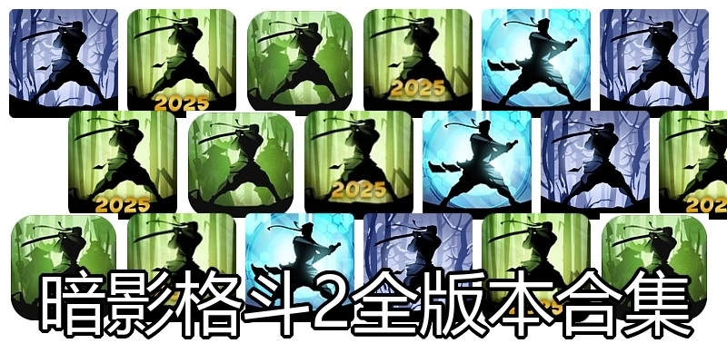 暗影格斗2全版本合集