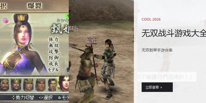 无双战斗游戏大全