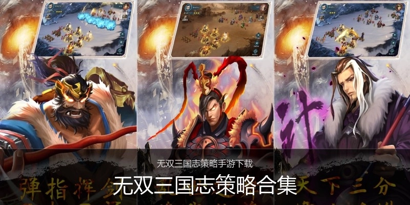 无双三国志策略合集